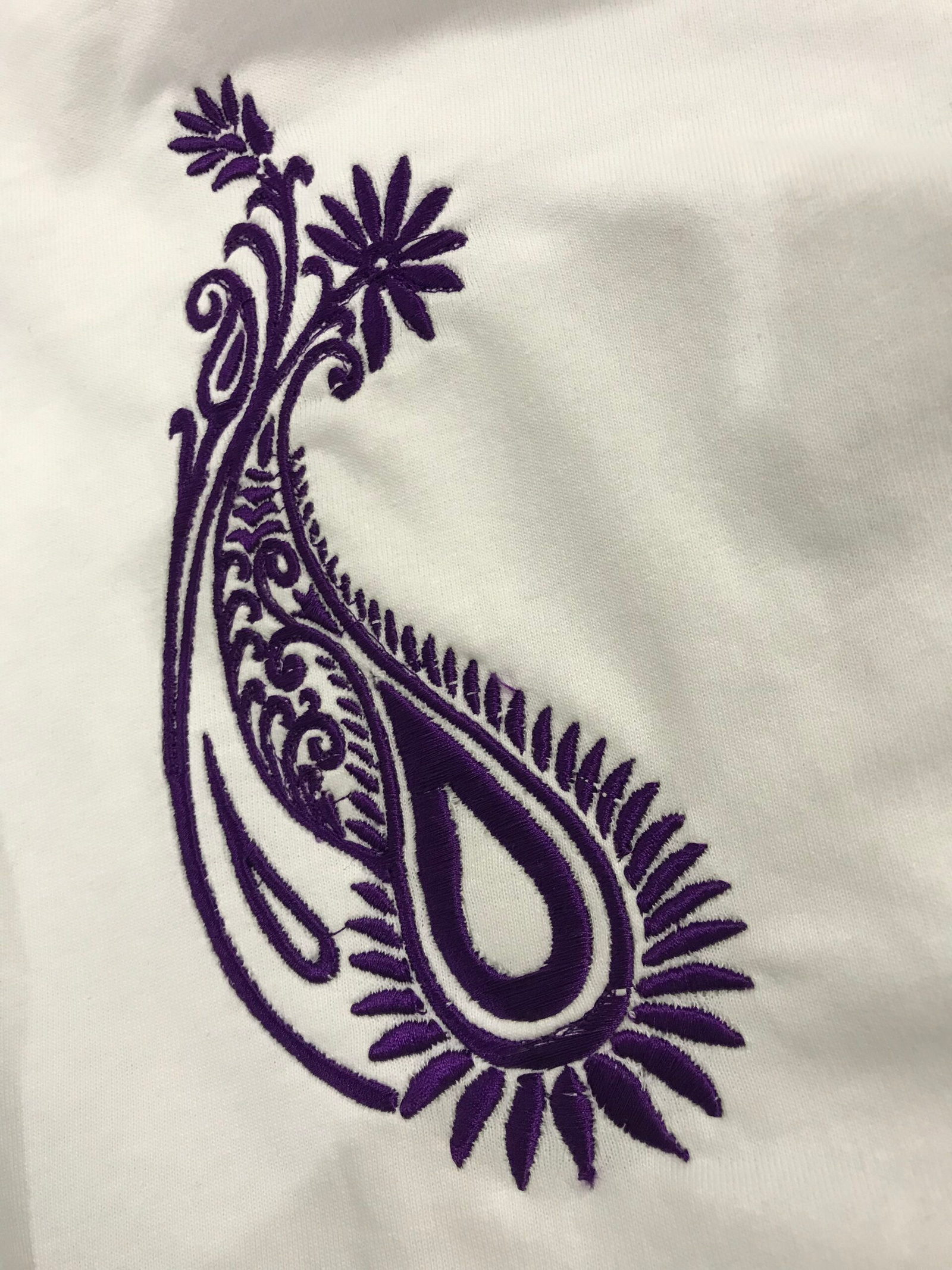 Paisley Wave Fest - Image 2